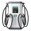 The most practical home, public charging pile
